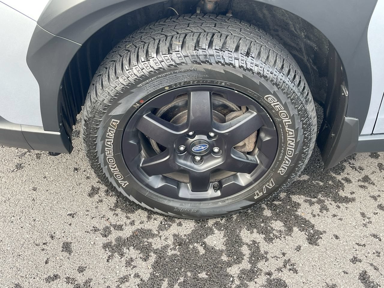 2024 Subaru Outback Wilderness