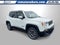 2015 Jeep Renegade Limited