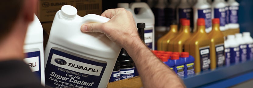 Picture of Subaru Super Coolant. | Romano Subaru in Syracuse NY