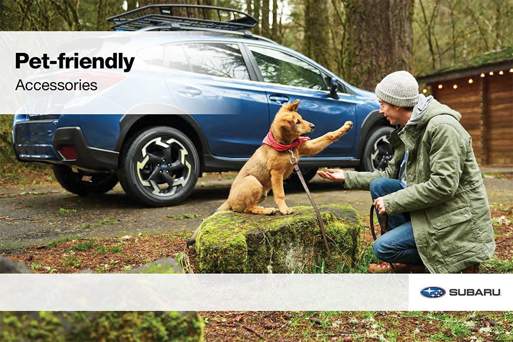 Romano Subaru in Syracuse NY