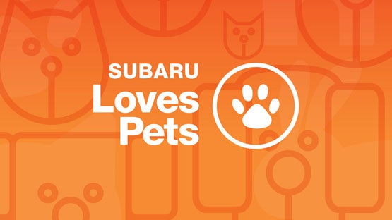 Romano Subaru in Syracuse NY