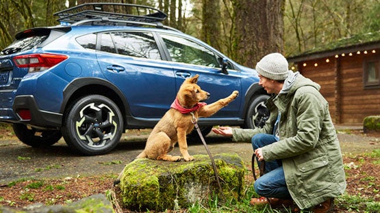 Romano Subaru in Syracuse NY