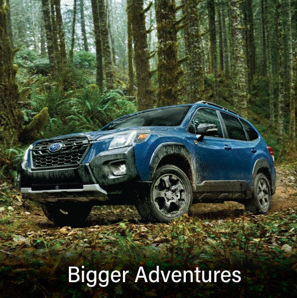 A blue Subaru outback wilderness with the words &ldquo;Bigger Adventures&ldquo;. | Romano Subaru in Syracuse NY